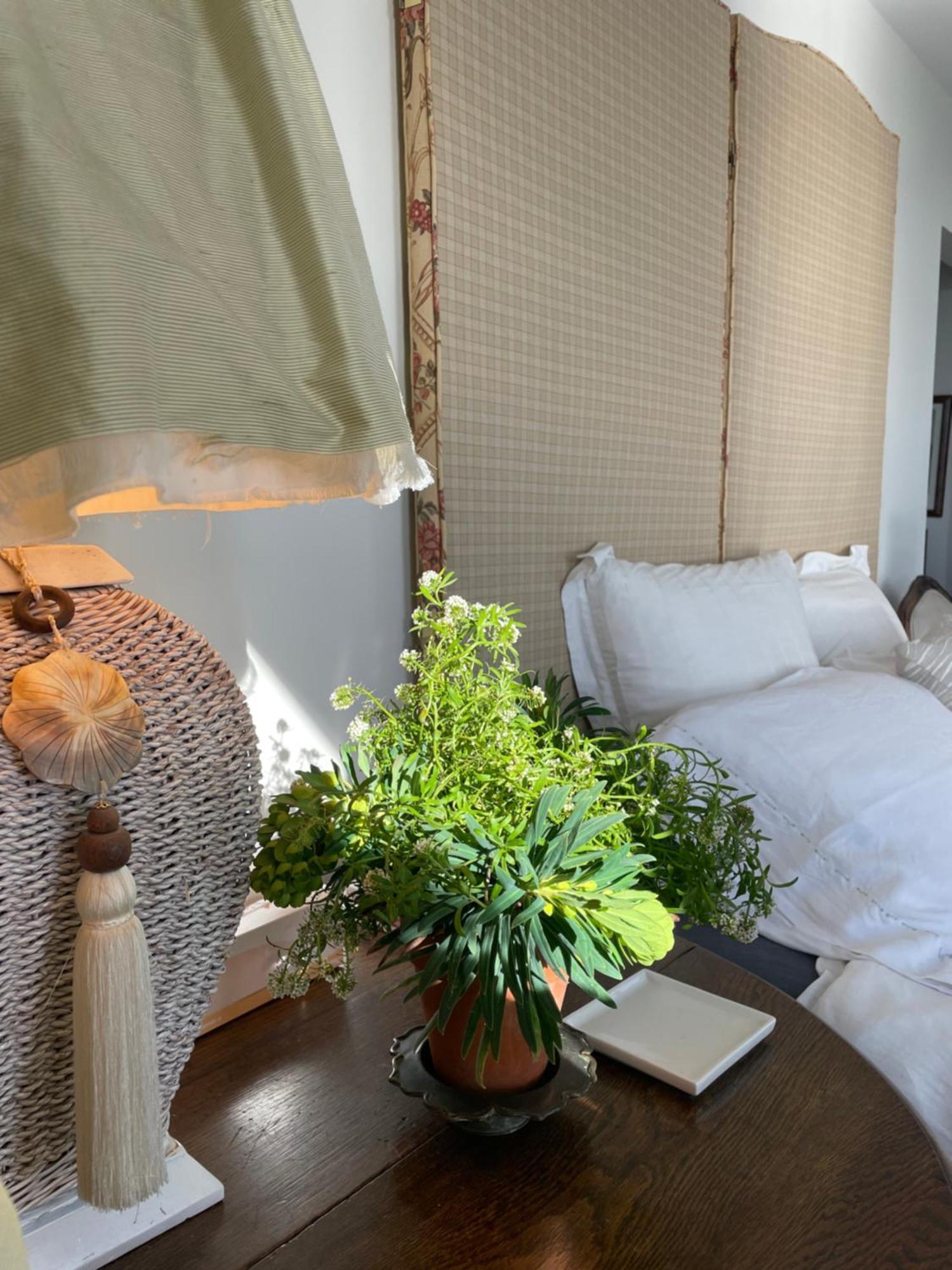 340 Deg Alps & Sea Bed and Breakfast Christchurch Eksteriør billede